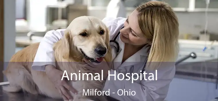 Animal Hospital Milford - Ohio