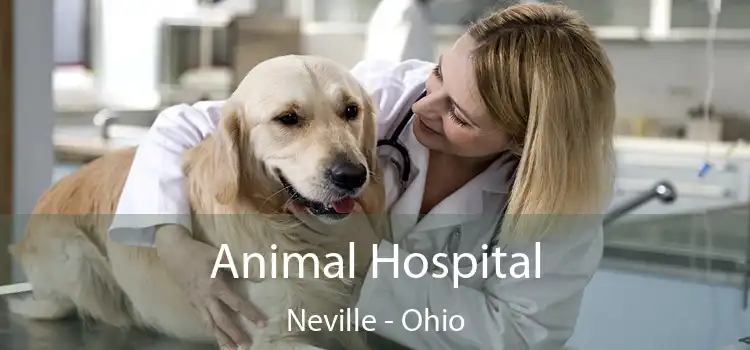 Animal Hospital Neville - Ohio