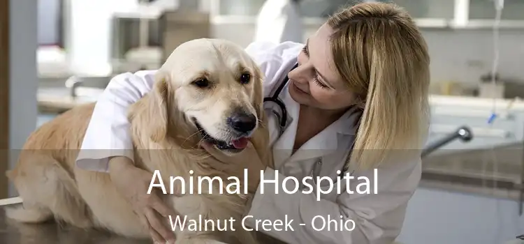 Animal Hospital Walnut Creek - Ohio