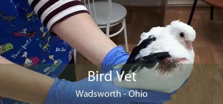 Bird Vet Wadsworth - Ohio