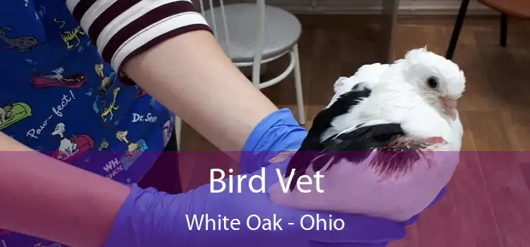 Bird Vet White Oak - Ohio