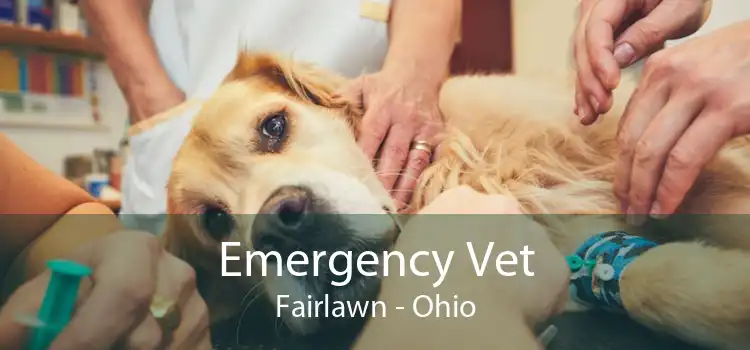 Emergency Vet Fairlawn - Ohio