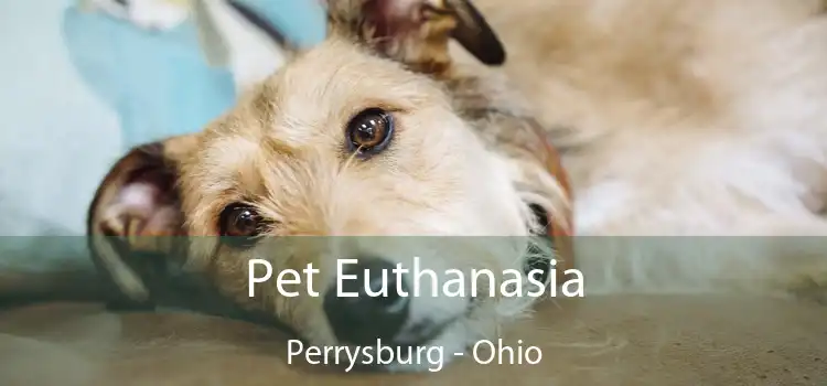 Pet Euthanasia Perrysburg - Ohio