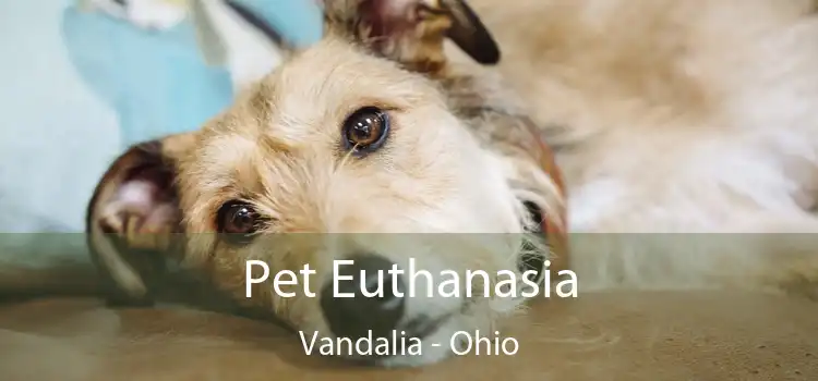 Pet Euthanasia Vandalia - Ohio